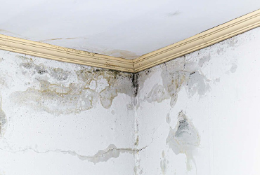 Drywall Cracks vs Water Damage: How to Tell the Difference  